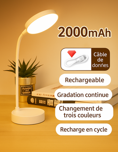Lampe de bureau LED portable