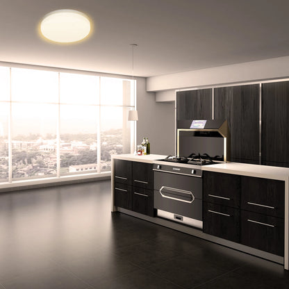 Plafonnier Moderne - Lumière LED Intérieure